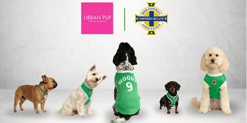Official Licensed Rangers FC Dog Football Shirts at Urban Pup