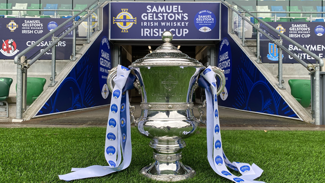 Irish Cup trophy.png 