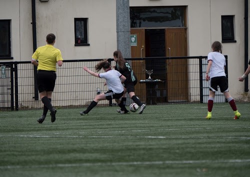 Moyola 13  .jpg