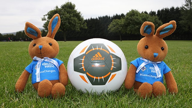 electric ireland bunnys.jpg 