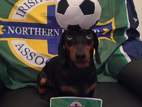 Harlso the Balancing Hound.jpg
