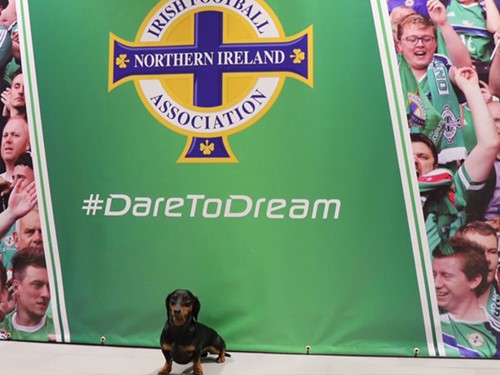 harlso dare to dream.jpg