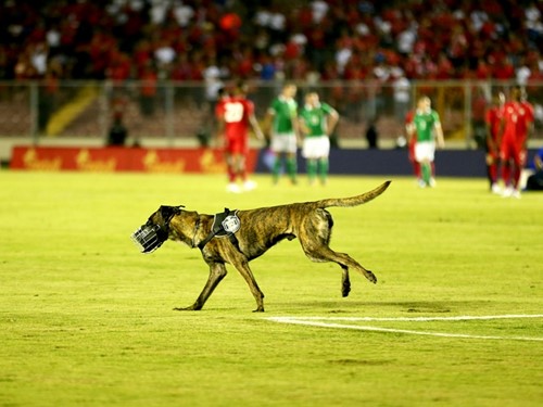 pe_00752925.jpg