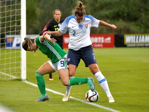 NI v Slovakia_0012.jpeg