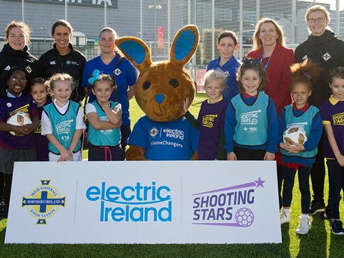 shooting stars elec ireland.jpg