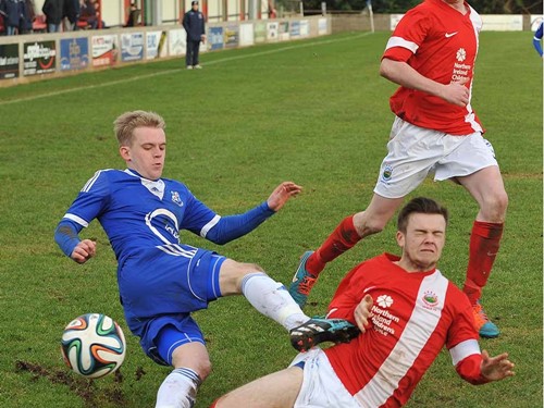 LinFIELD SWIFTS (1)