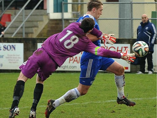 LINFIELD SWIFTS (4)