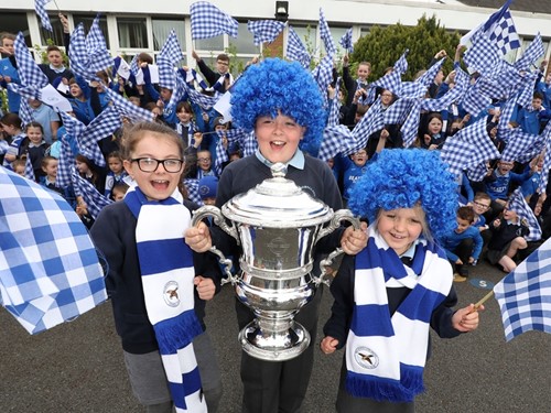 Irish Cup_005.JPG