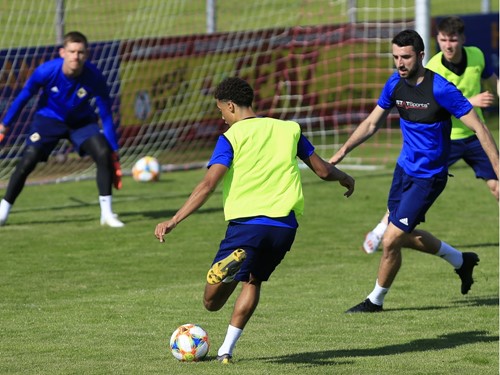 Jamal Lewis Austria training.jpg