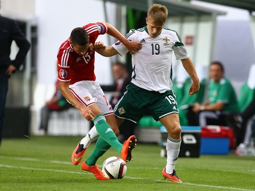 Hungary v. Northern Ireland 7th September 2014