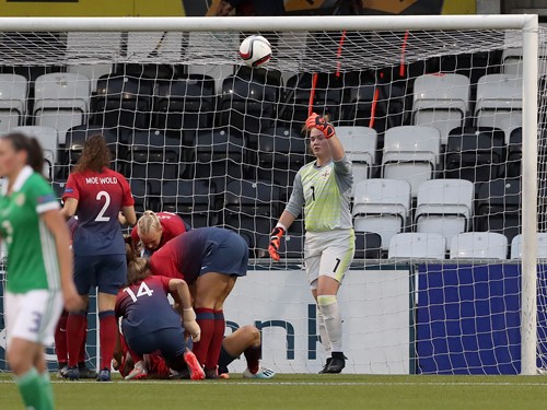 NI v Norway 1.jpeg
