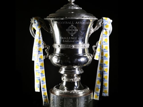 Marie Curie Irish Cup 2015 pic - Apr 2015