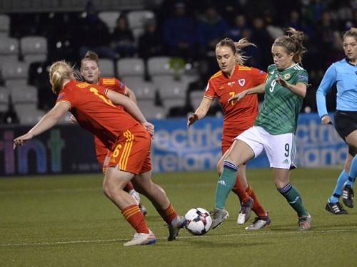 Northern Ireland v Wales_002.JPG