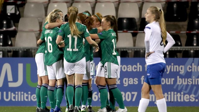 NI v Belarus.jpg 