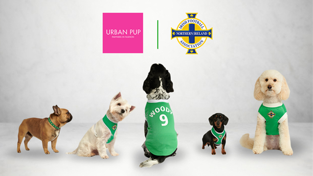urban pup website.png 