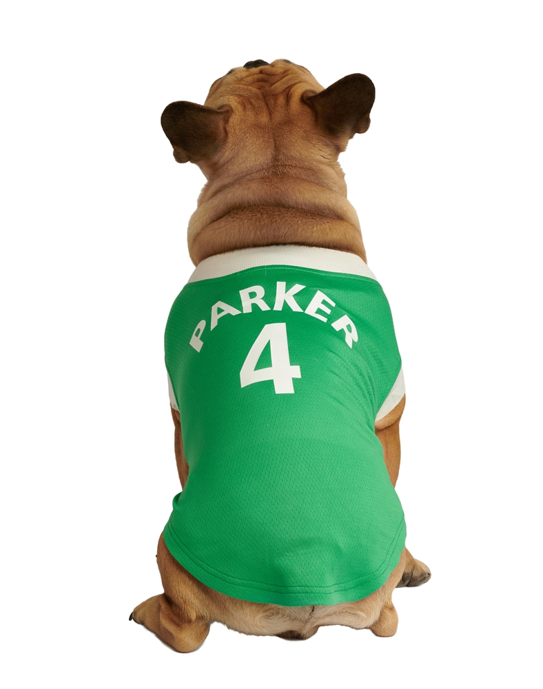 Urban Pup Name and number.JPG (1)