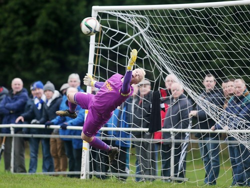Tennent's Irish Cup fifth round (2)