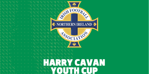 Harry Cavan Youth Cup final: Dungannon Swifts set to... - Vimarsana News