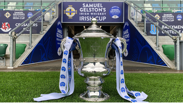 Irish Cup trophy.png 