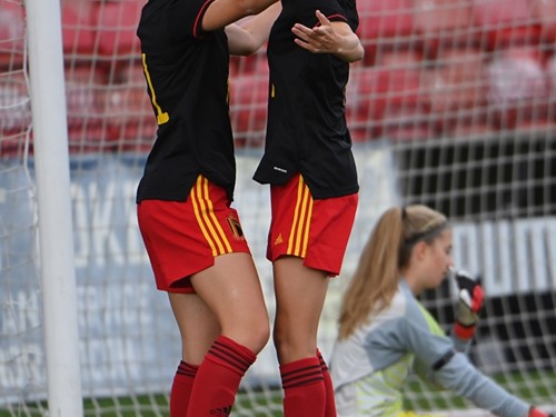 NI v Belgium_020.JPG