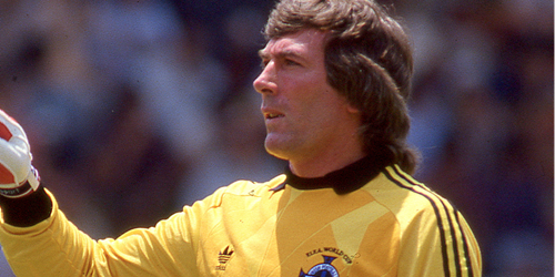 Pat Jennings awarded CBE in New Year's Honours List ... - Vimarsana News