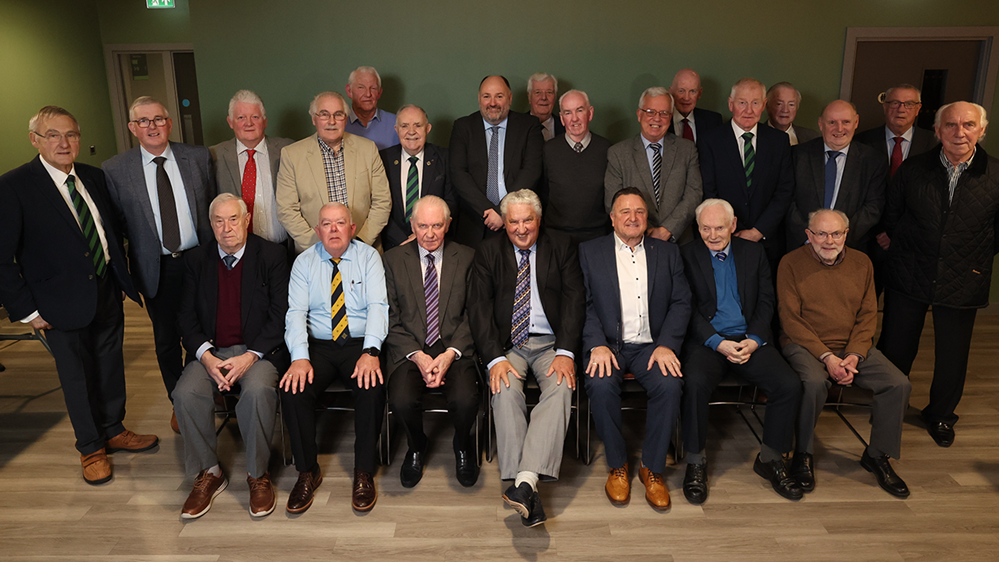 Irish FA Council members.png