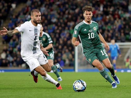 N Ireland v Slovenia_083.JPG