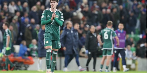 GALLERY | Northern Ireland 0-1 Slovenia - Vimarsana News