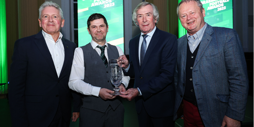 Grassroots heroes crowned at McDonald's Awards - Vimarsana News