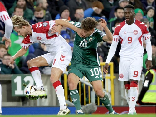 N Ireland v Denmark_043.JPG