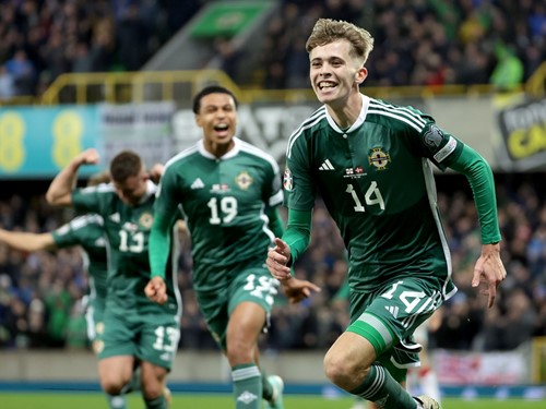 N Ireland v Denmark_051.JPG