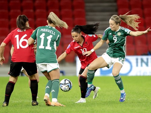 Albania v N Ireland_026.JPG.jpg