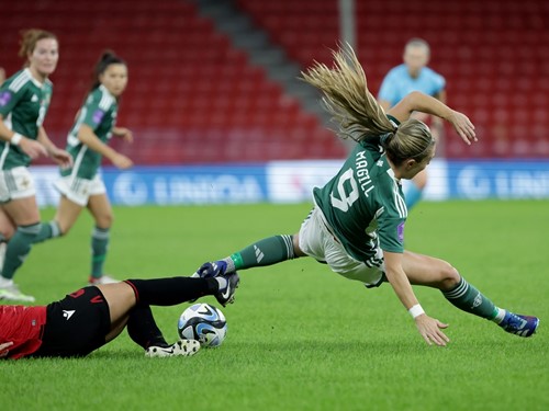 Albania v N Ireland_029.JPG.jpg