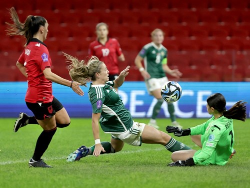 Albania v N Ireland_031.JPG.jpg