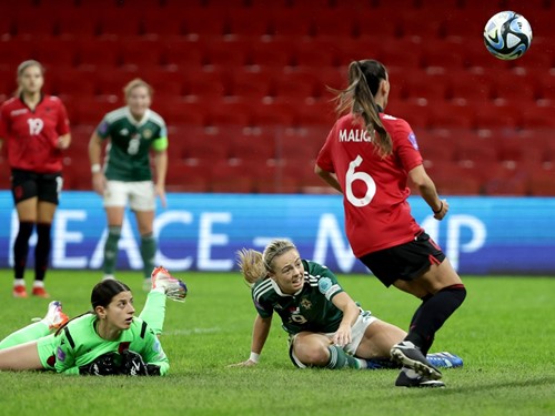 Albania v N Ireland_033.JPG.jpg