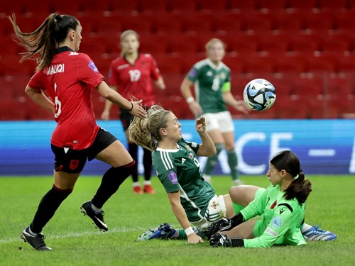 Albania v N Ireland_032.JPG.jpg