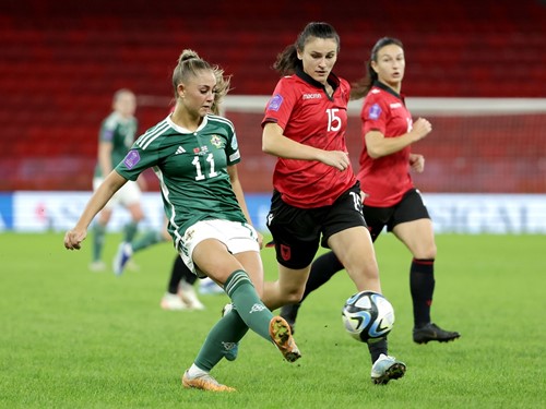 Albania v N Ireland_052.JPG.jpg