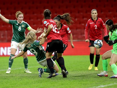 Albania v N Ireland_054.JPG.jpg