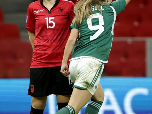 Albania v N Ireland_065.JPG