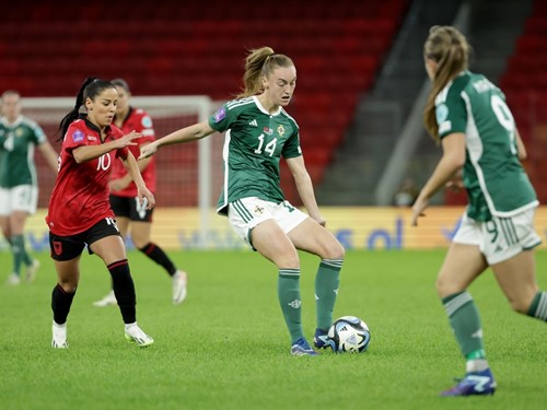 Albania v N Ireland_072.JPG