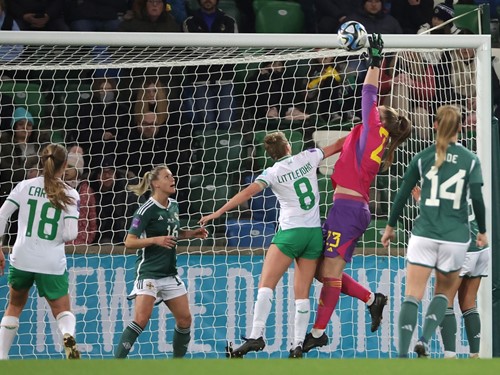 N Ireland v Rep Ireland_067.JPG