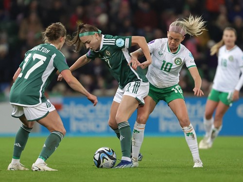 N Ireland v Rep Ireland_066.JPG