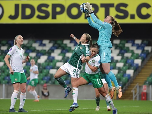 N Ireland v Rep Ireland_070.JPG