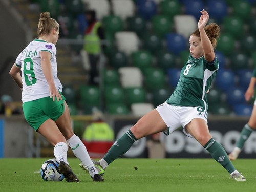 N Ireland v Rep Ireland_078.JPG