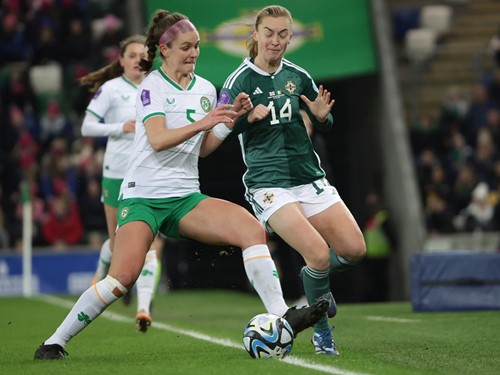 N Ireland v Rep Ireland_102.JPG