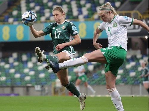 N Ireland v Rep Ireland_093.JPG