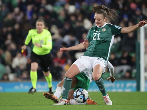 N Ireland v Rep Ireland_106.JPG
