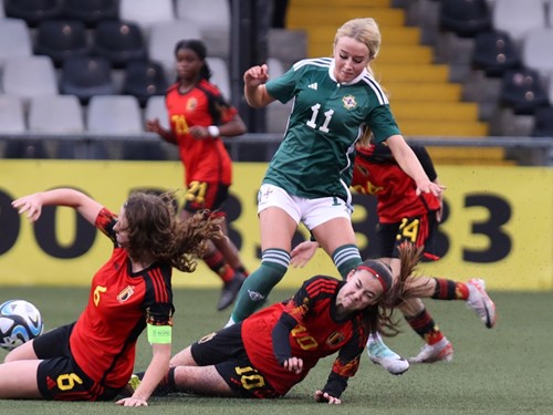 Northern Ireland v Belgium 64.JPG