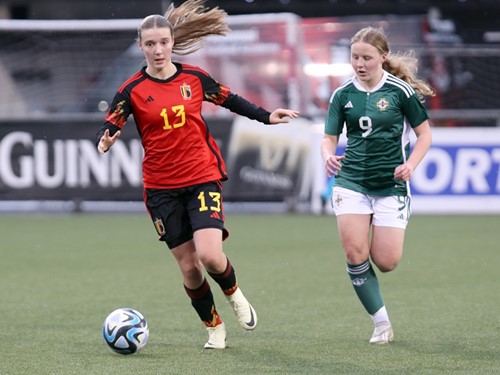 Northern Ireland v Belgium 67.JPG