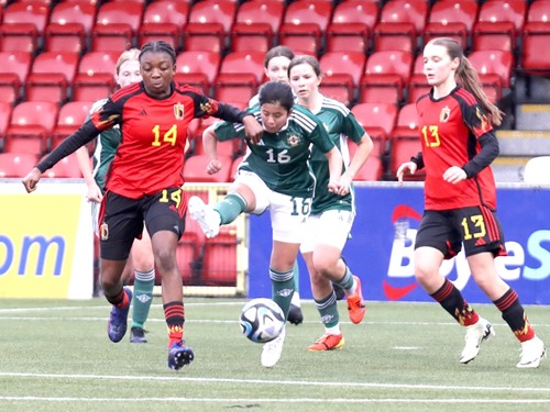 Northern Ireland v Belgium 68.JPG